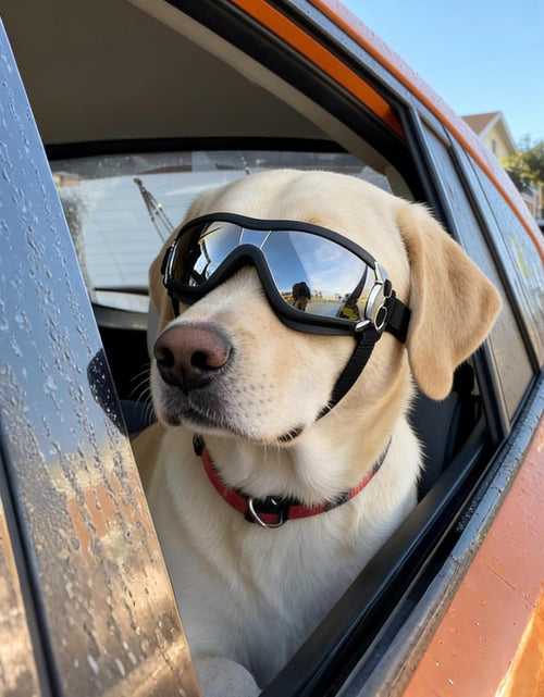 Load image into Gallery viewer, Dog Goggles Large Breed, Large Dog Sunglasses Eye Protection for Dogs Windproof Goggles for Medium Large Dog Riding Biking Driving, Black
