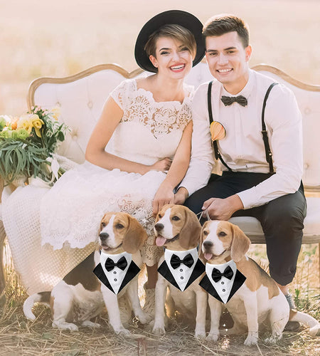 Formal Dog Tuxedo Wedding Dog Bandana Collar Dog Collar with Bow Tie Adjustable Dog Bowtie Collar Bandana for Medium Large Dog Pet (Large, Black&White)
